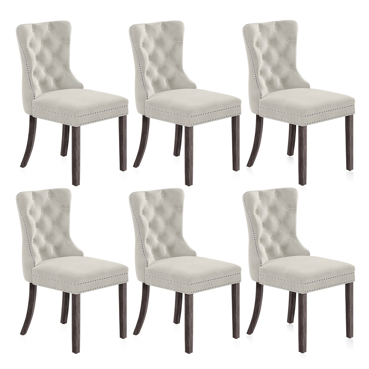 BELLEZE Upholstered Dining Chairs Set of 6, Velvet Luxury Dining Room Chairs with Button Back, Nailhead Trim, Pull-ring, Solid Wood Legs for Kitchen, Living Room, Restaurant - Chandler (Beige)