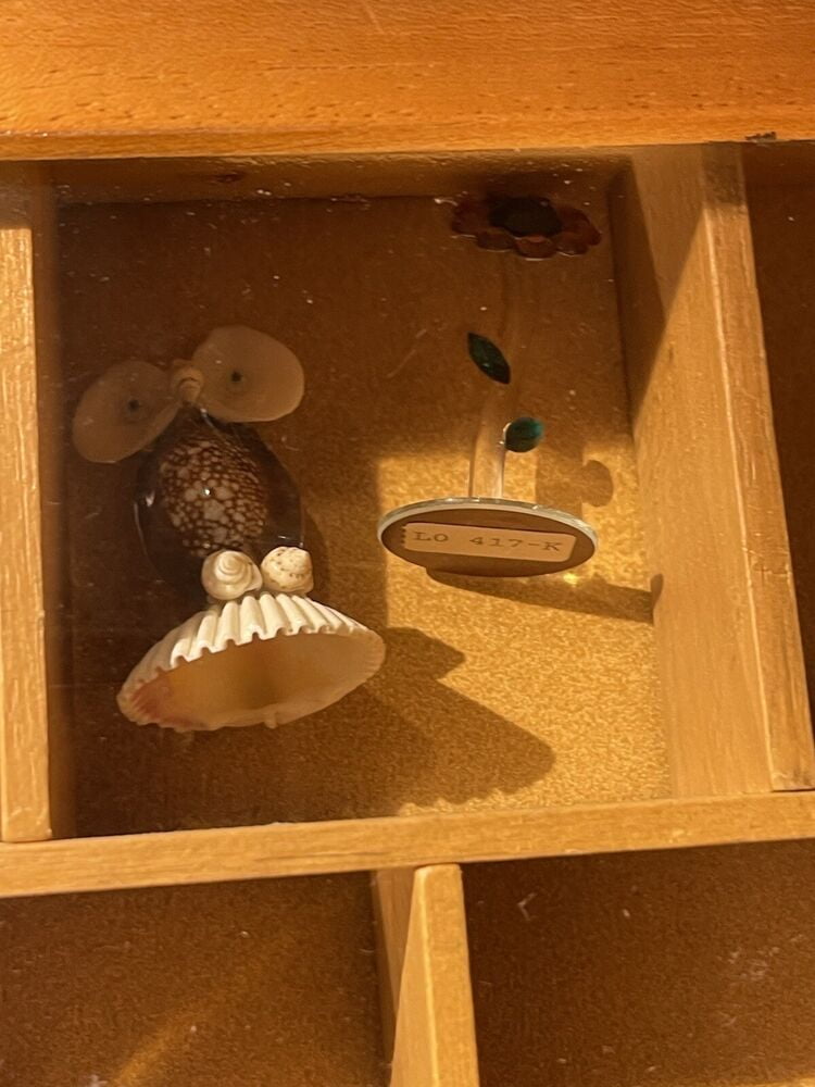 17 Slot Curio Cabinet / Small / Full Of Collectibles