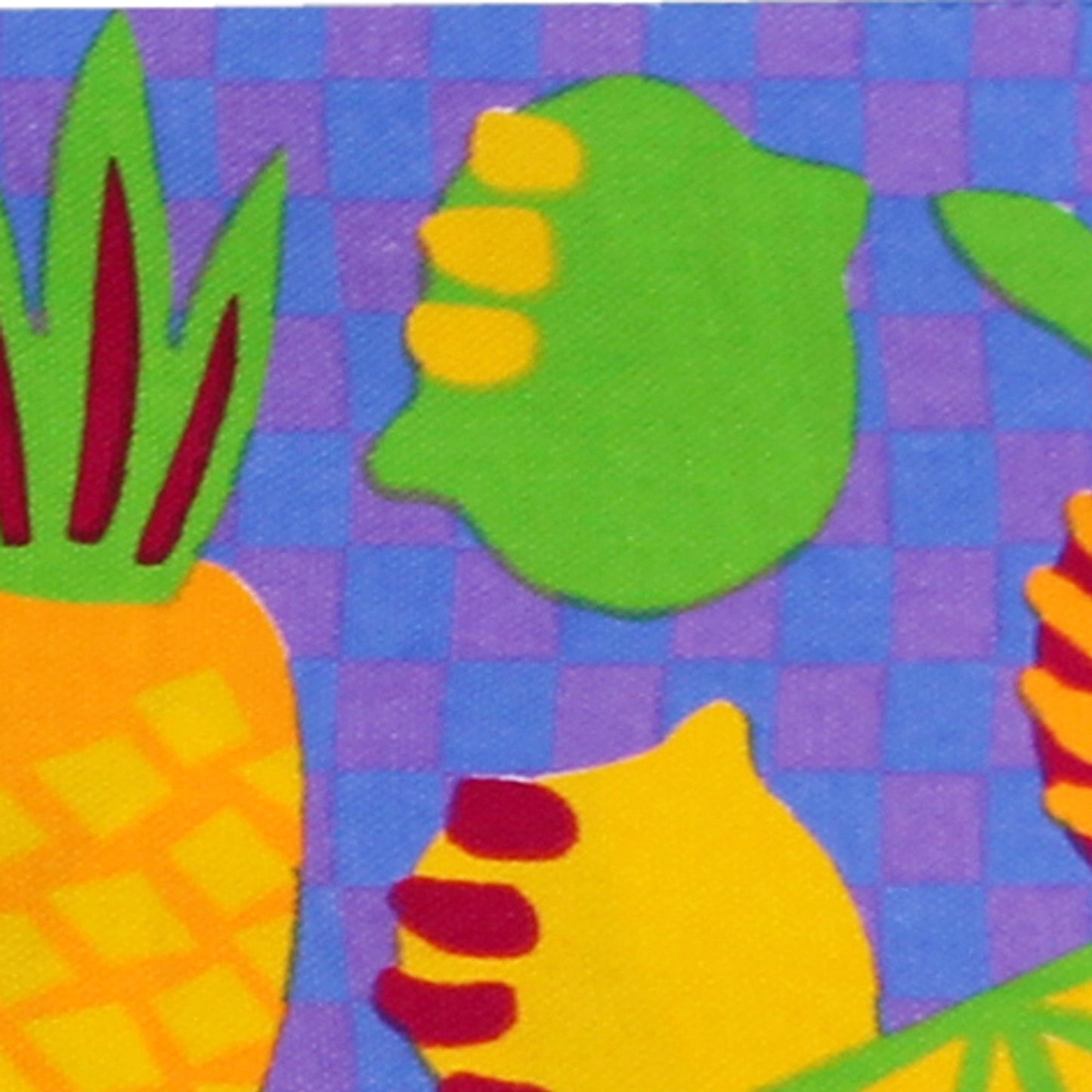 24in Director's Chair Black Frame-Calypso Fruit